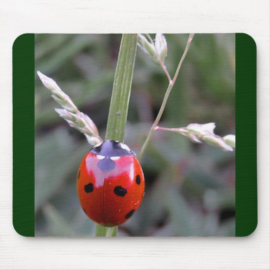 Ladybug Mousepad Muismat (Voorkant)