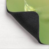 Ladybug-Muismat Muismat (Hoek)