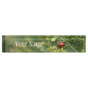Ladybug Naambordje