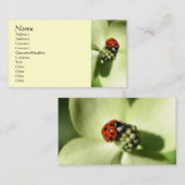 Ladybug Natuur Fotografie Visitekaartje (Voorkant / Achterkant)