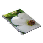 Ladybug Notitieboek (Rechterzijde)