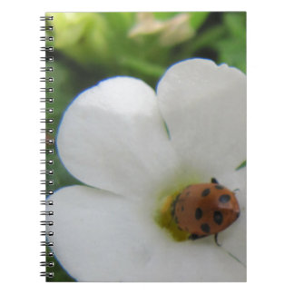 Ladybug Notitieboek