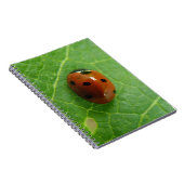 Ladybug-Notitieboek Notitieboek (Rechterzijde)