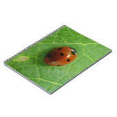 Ladybug-Notitieboek Notitieboek (Linkerzijde)