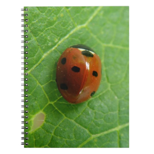 Ladybug-Notitieboek Notitieboek (Voorkant)