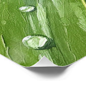 Ladybug on a Dewy Leaf – Nature Art Print Perfect Poster (Hoek)