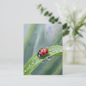 Ladybug on a Dewy Leaf – Nature Postcard Briefkaart (Staand voorkant)