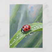Ladybug on a Dewy Leaf – Nature Postcard Briefkaart (Voorkant)