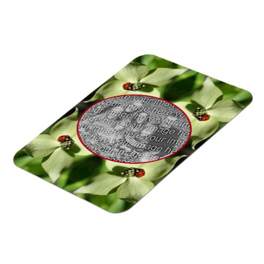 Ladybug on Dogwood Flower Lijst Uw foto toevoegen Magneet (Linkerzijde)