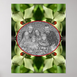 Ladybug on Dogwood Flower Lijst Uw foto toevoegen Poster