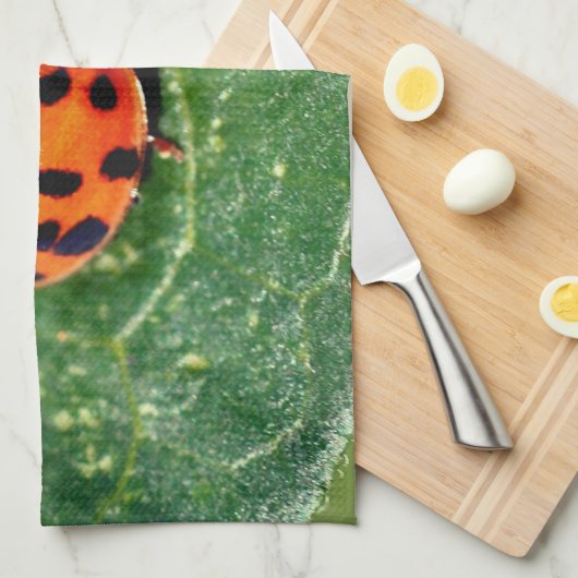 Ladybug On Leaf Close Up Theedoek (Quarter Fold)