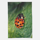 Ladybug On Leaf Close Up Theedoek (Verticaal)