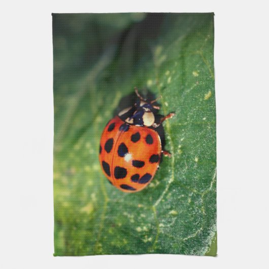 Ladybug On Leaf Close Up Theedoek (Verticaal)