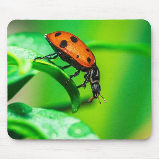 Ladybug on Leaf – Macro Nature Photo Art Print Muismat (Voorkant)