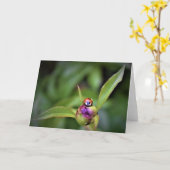 Ladybug On Peony, kaart (Gele Bloem)