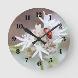Ladybug on Silverleaf Phacelia Flowers Wall Clock Ronde Klok