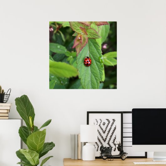 ladybug op blad poster (Thuiskantoor)