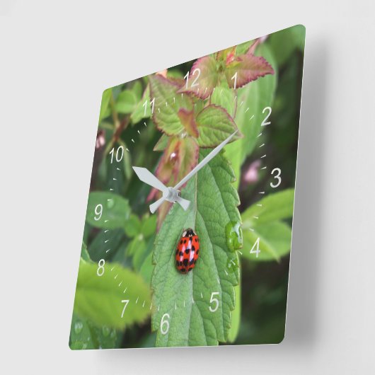 ladybug op blad vierkante klok (Hoek)