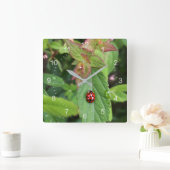 ladybug op blad vierkante klok (Huis)