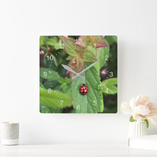 ladybug op blad vierkante klok (Huis)
