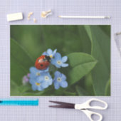 Ladybug op bloemen tissuepapier (Craft)