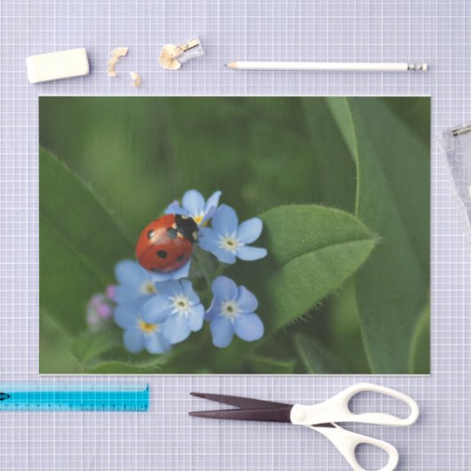 Ladybug op bloemen tissuepapier (Craft)