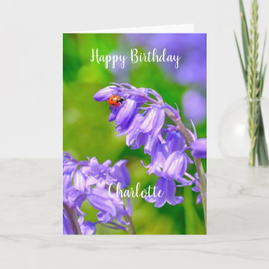 Ladybug op Bluebells Birthday Kaart (Voorkant)