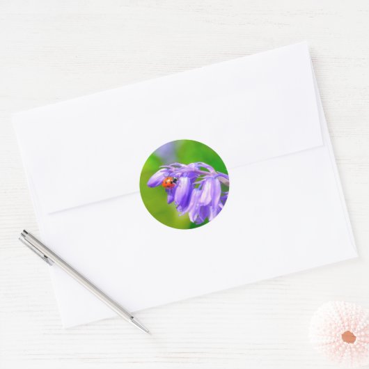 Ladybug op Bluebells Stickers (Envelop)