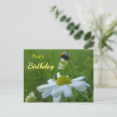 Ladybug op Daisy Flower Happy Birthday Briefkaart (Staand voorkant)