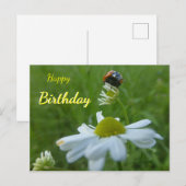 Ladybug op Daisy Flower Happy Birthday Briefkaart (Voorkant / Achterkant)