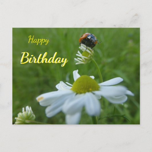 Ladybug op Daisy Flower Happy Birthday Briefkaart (Voorkant)