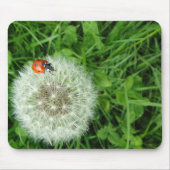 Ladybug op Dandelion Muismat (Voorkant)