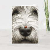Ladybug op de neus van Shaggy Dog Kaart (Voorkant)