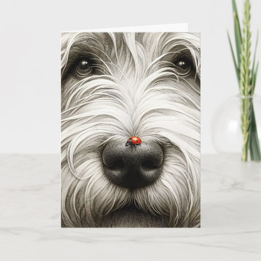 Ladybug op de neus van Shaggy Dog Kaart (Voorkant)