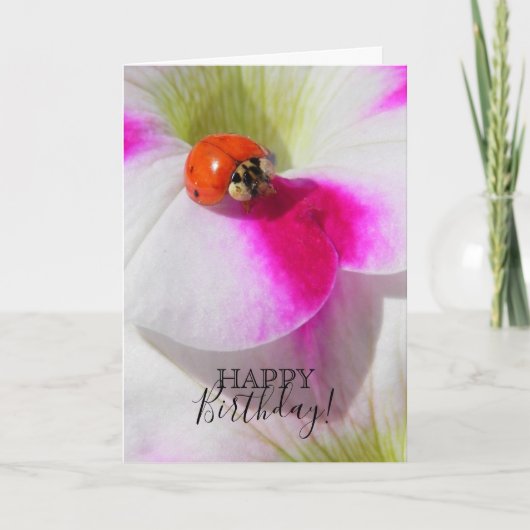 Ladybug op de petunia kaart (Voorkant)