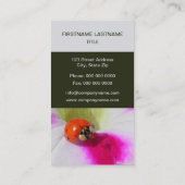 Ladybug op de petunia visitekaartje (Achterkant)