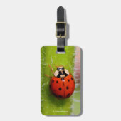 Ladybug op de Sunflower Stalk Bagagelabel (Voorkant verticaal)
