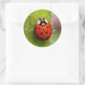 Ladybug op de Sunflower Stalk Ronde Sticker (Tas)