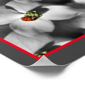 Ladybug op Dogwood Flower Abstracte Natuur Poster (Hoek)