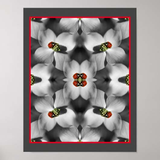 Ladybug op Dogwood Flower Abstracte Natuur Poster (Voorkant)