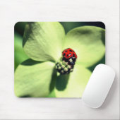 Ladybug op Dogwood Flower Muismat (Met muis)