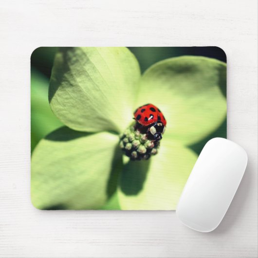 Ladybug op Dogwood Flower Muismat (Met muis)