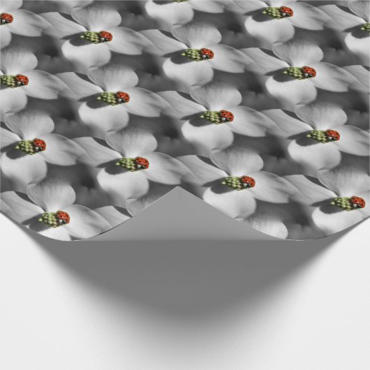 Ladybug op Dogwood Flower Natuur Pattern   Cadeaupapier (Hoek)