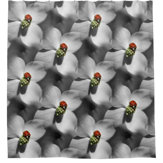Ladybug op Dogwood Flower Natuur Pattern Douchegordijn (Voorkant)