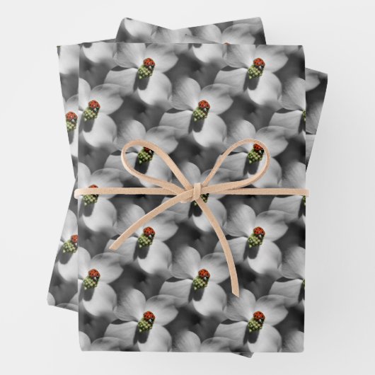 Ladybug op Dogwood Flower Natuur Pattern Inpakpapier Vel (In situ)