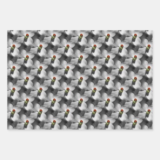 Ladybug op Dogwood Flower Natuur Pattern  Inpakpapier Vel (Voorkant)