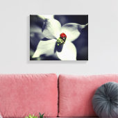 Ladybug op Dogwood Flower Partiële kleur Canvas Afdruk (Insitu (Woonkamer))