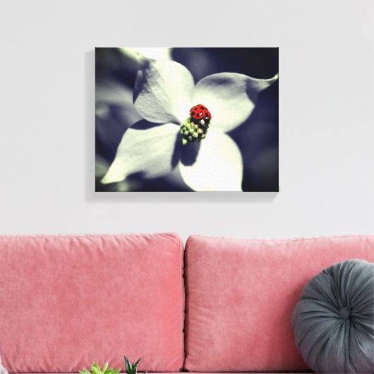 Ladybug op Dogwood Flower Partiële kleur Canvas Afdruk (Insitu (Woonkamer))