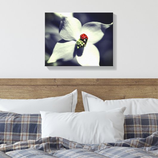 Ladybug op Dogwood Flower Partiële kleur Canvas Afdruk (Insitu (Slaapkamer))