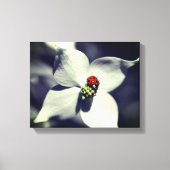Ladybug op Dogwood Flower Partiële kleur Canvas Afdruk (Voorkant)
